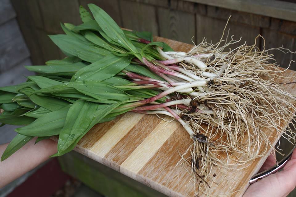 Ramps
